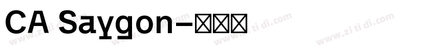 CA Saygon字体转换